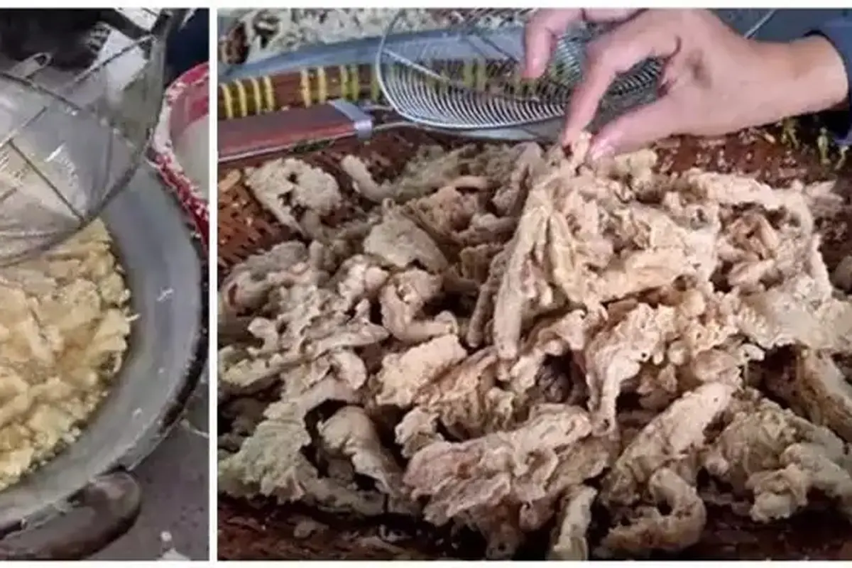 Cara Menggoreng Jamur Tiram