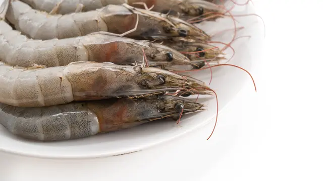 Buntut Kasus Radioaktif Cesium-137, FDA AS Wajibkan Hal Ini ke Udang dan Rempah Asal Jawa-Lampung