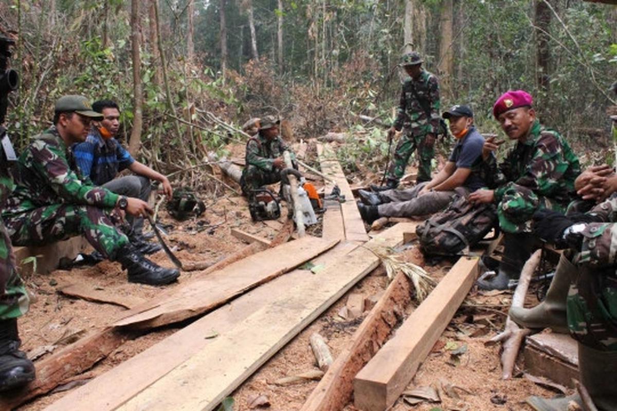 Aksi Marinir gagalkan illegal logging di Taman Nasional Sembilang