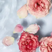 Ilustrasi air mawar/copyright freepik