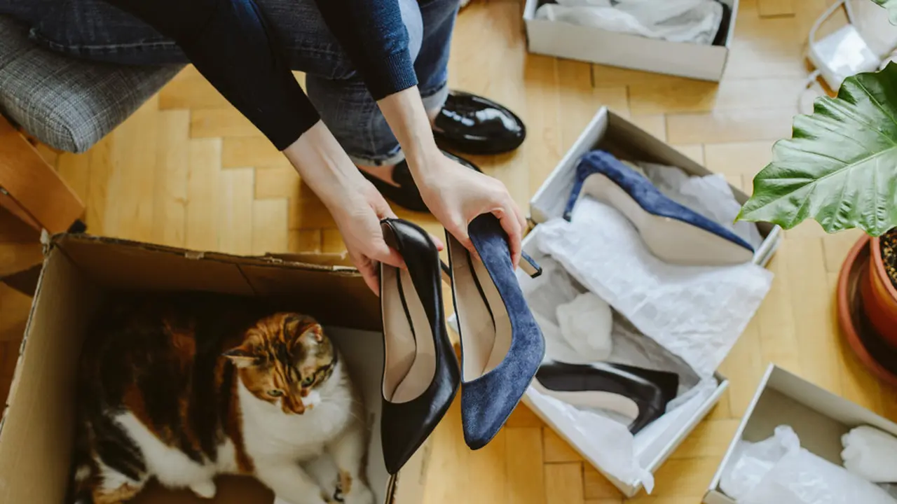 Tolong, Kucingku Selalu Menduduki Sepatu Favorit
