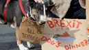 Pemilik anjing dan hewan peliharaan mereka berkumpul sebelum pawai anti-Brexit di London, Minggu (7/10).  Penyelenggara gerakan yang disebut 'Wooferendum' itu berpendapat bahwa hewan akan menderita karena meninggalkan Uni Eropa. (AFP/Tolga AKMEN)