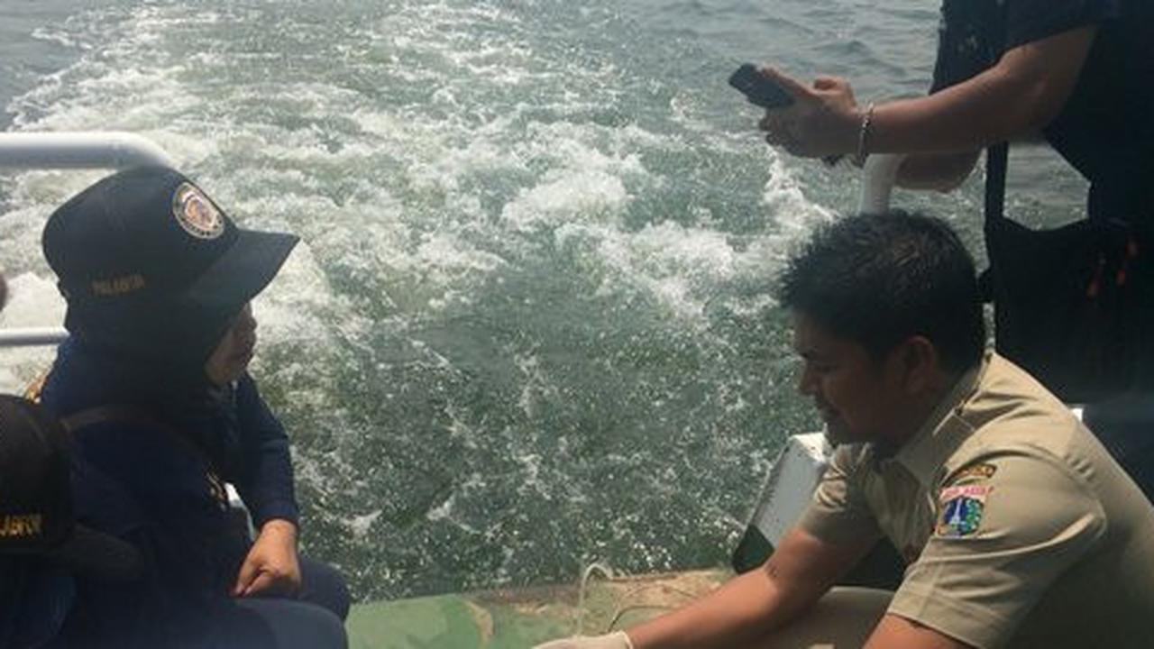 Karena tercemar limbah rumah tangga