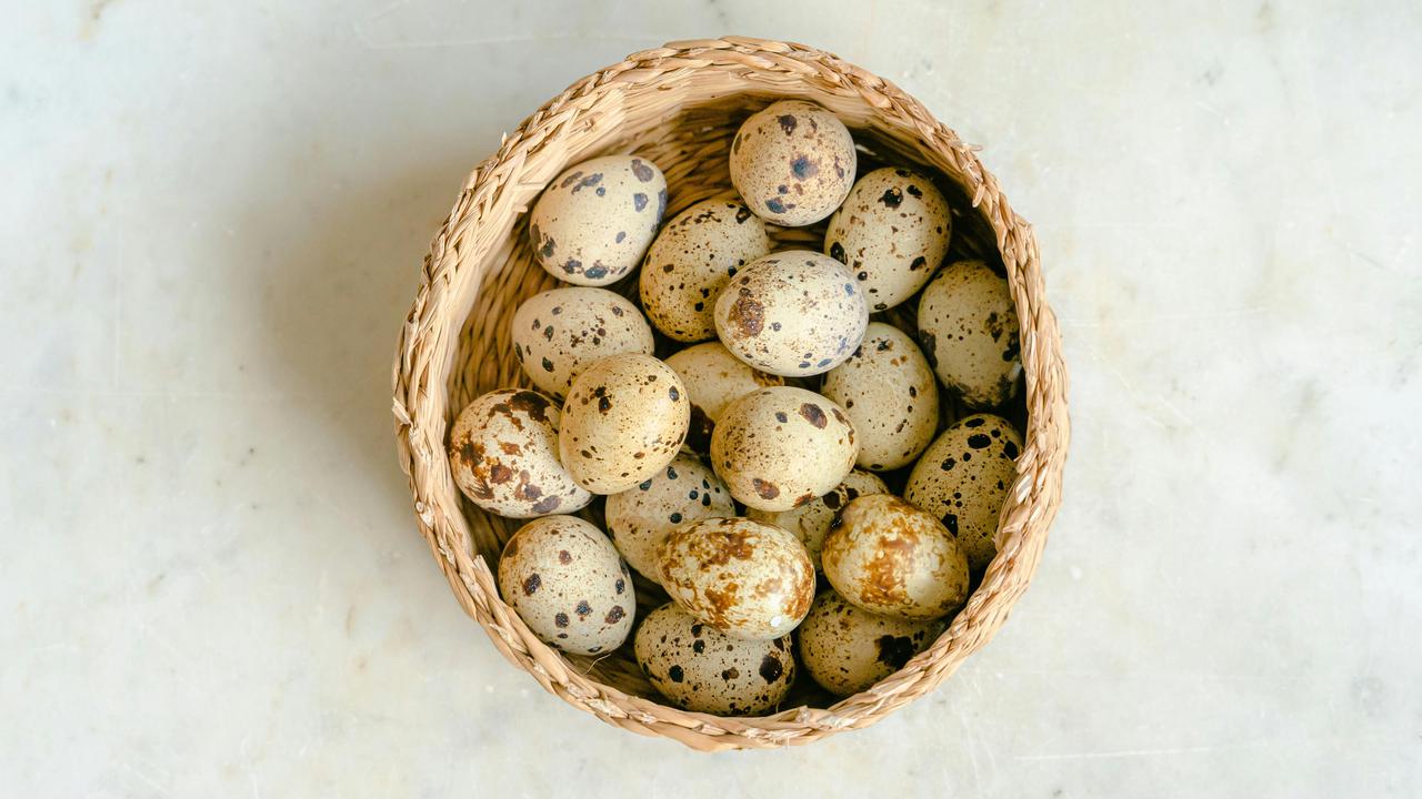 Kecil Tapi Kaya Manfaat, 10 Alasan Mengapa Anda Harus Mengonsumsi Telur Puyuh!