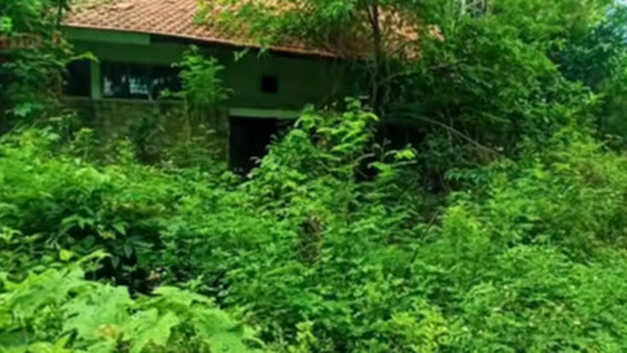 Potret Rumah Mewah Terbengkalai Milik Korban Kecelakaan