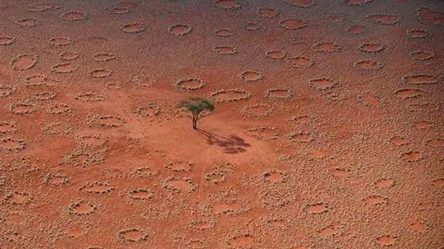 'Lingkaran Peri' di Gurun Afrika