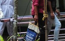 Heboh Virus Nipah, Begini Proses Penularan dan Cara Mengobatinya