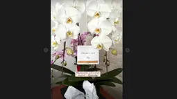 Kaesang Pangarep Kirim Bunga Anggrek Putih untuk Erina Gudono, Ada Tulisan I Love You So Much