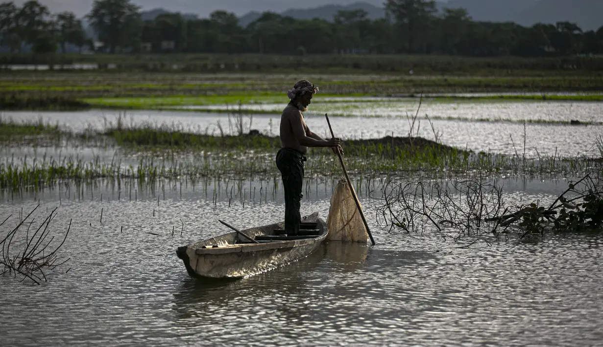 Seorang nelayan India di atas perahu memancing ikan di air banjir surut di sawah di pinggiran Gauhati, India, Senin (14/9/2020). (AP Photo / Anupam Nath)