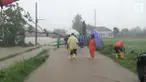 Hujan es disertai angin kencang terjadi di Magelang. Akibatnya sejumlah rumah rusak akibat tertimpa pohon yang roboh.