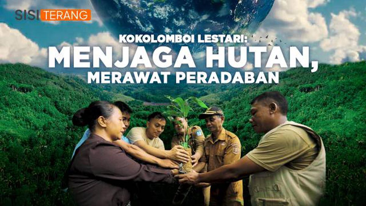 VIDEO: Kokolomboi Lestari: Menjaga Hutan, Merawat Peradaban
