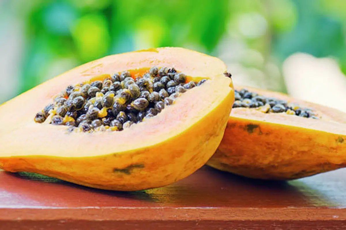 Foto: copyright by shutterstock.com