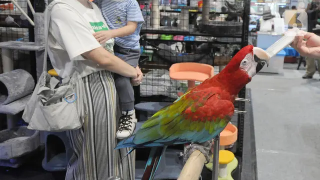 Beragam Satwa Peliharaan Dipamerkan di Exotic Pet Garden