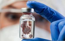 Jadi Salah Satu Daerah dengan Produksi Babi Terbesar di Indonesia, Bali Waspada Penyebaran Virus Nipah