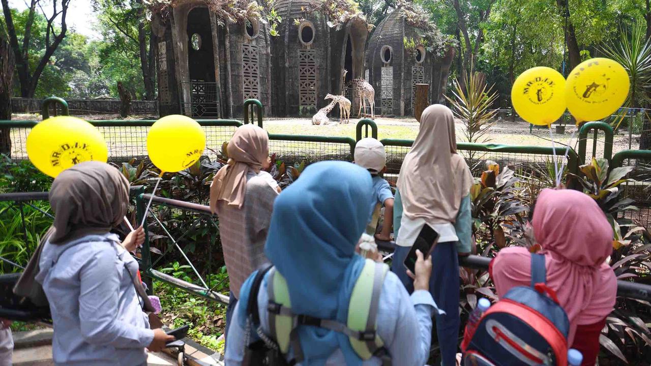 FOTO: Peringatan Maulid Nabi, Ragunan Diserbu Pengunjung