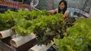 Sebuah stand yang tentang budidaya tanaman hidroponik ikut ambil bagian dalam Agrinex Expo ke-9 yang digelar di JCC, Jakarta, Sabtu (21/3/2015). (Liputan6.com/Johan Tallo)