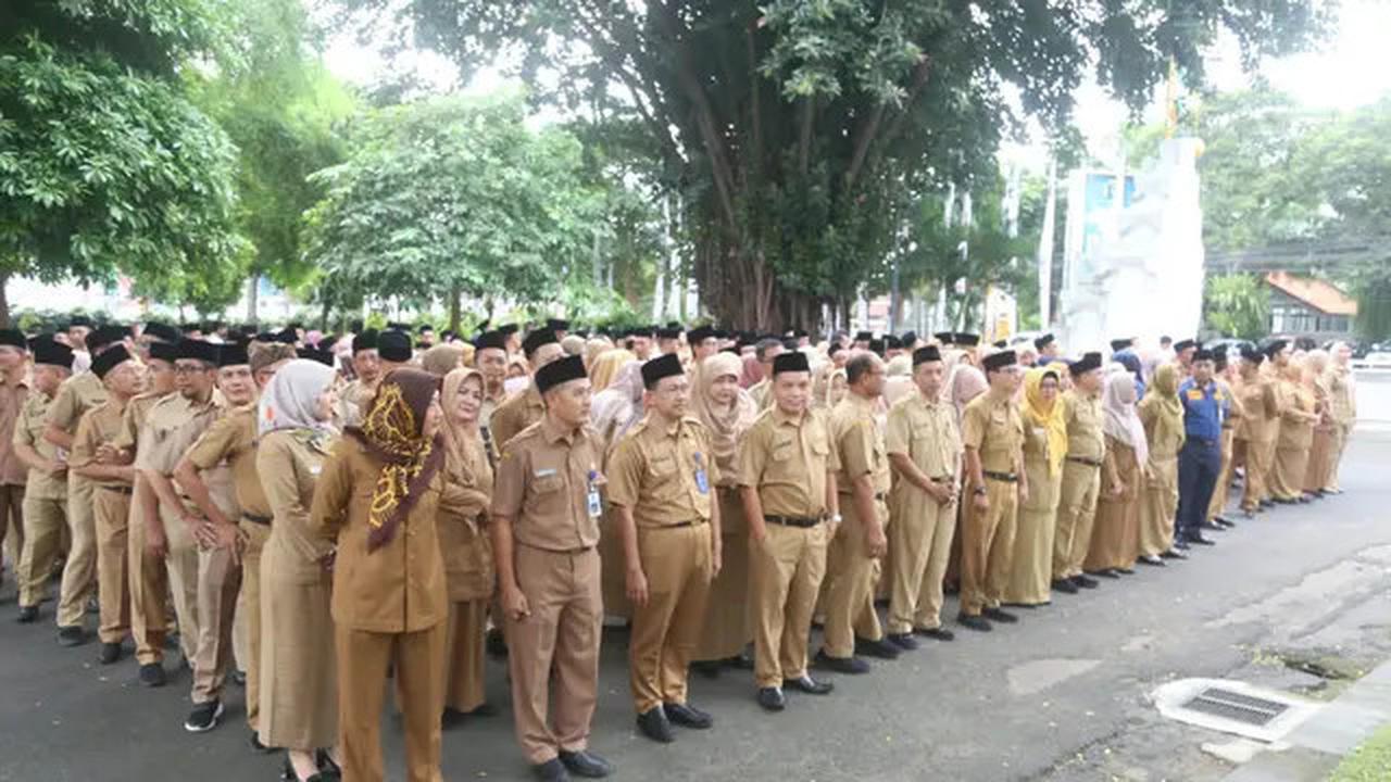 Begini Cara Cek Penetapan NIP PPPK di Mola BKN, Simak 7 Langkah Ini