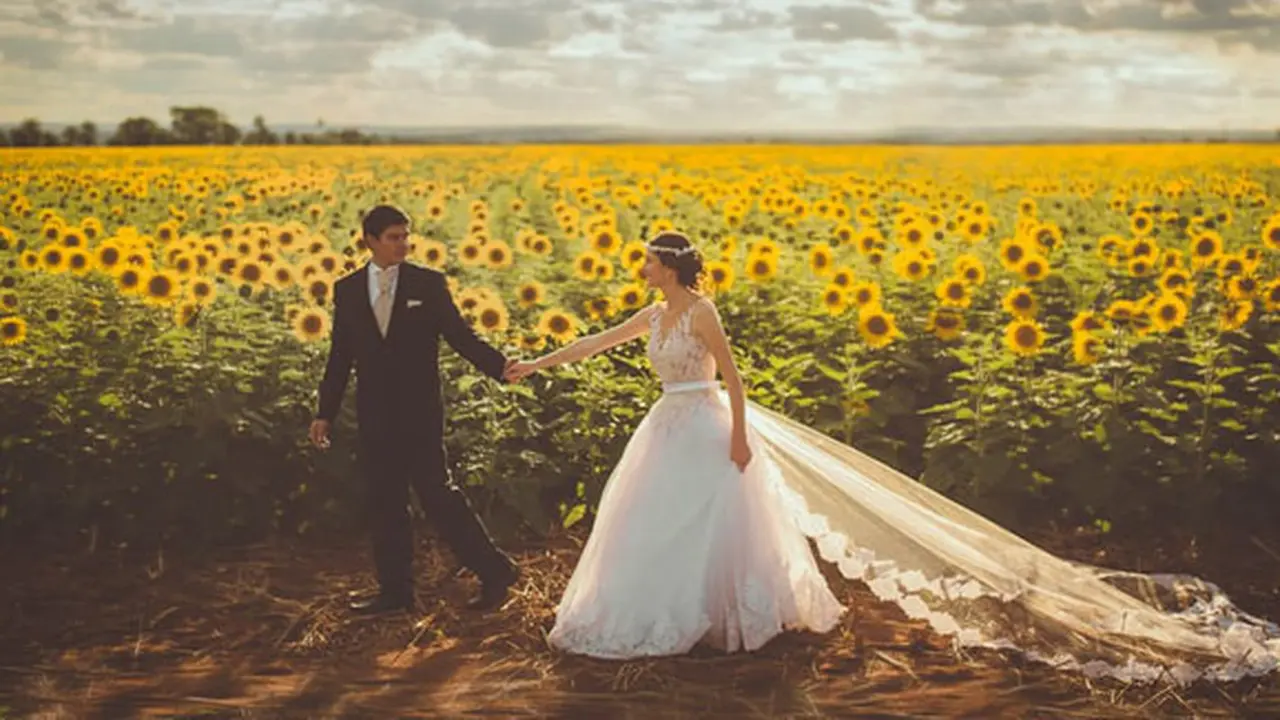 Foto: copyright pexels.com