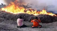 Kebakaran Hutan Kalteng yang Menggerus Penghasilan Warga