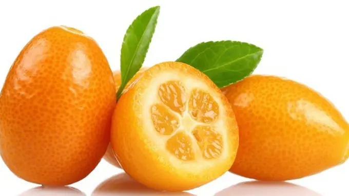 copyright: bujint.com