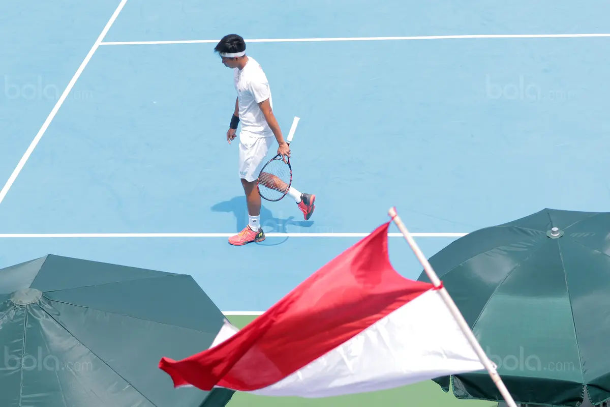 Piala Davis 2018, Tenis Indonesia