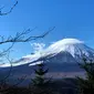 Gunung Fuji dari Oshino, prefektur Yamanashi. (Dok: Behrouz MEHRI / AFP)