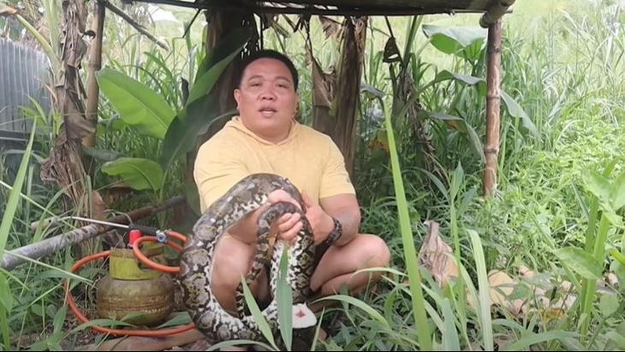 Ekstrem, Pria Ini Bagikan Tutorial Masak Ular Piton 'Lebih Enak dari Ayam Kampung