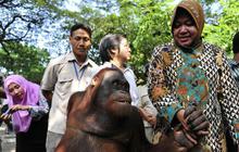 Pedagang Pasar Turi sebut Risma tersangka ulah Bos Gala Bumi Perkasa