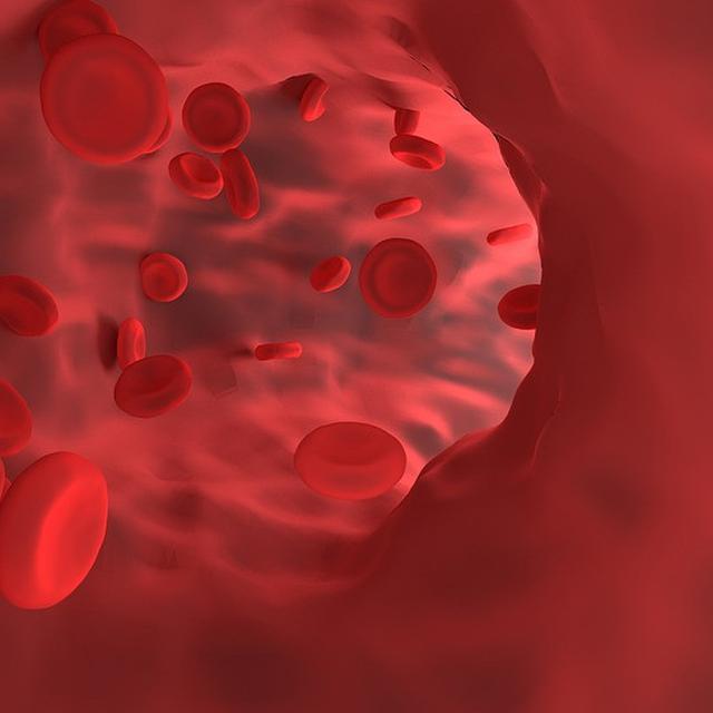 Fungsi Sel Darah Merah Dan Putih Trombosit Serta Plasma Darah Pada Tubuh Hot Liputan6 Com
