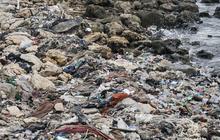 Tekan 70 Persen Sampah Plastik di Laut, Kemenko Marves Gandeng Industri dan Komunitas Daur Ulang