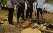 Kronologi Warga Berobat Usai Digigit Anjing, Malah Diminta Gigit Balik Anjingnya oleh Petugas Puskesmas