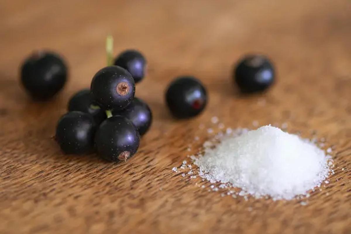 Merek Cemilan di Belanda Keluarkan Varian Rasa Unik, Keripik Rasa Baterai