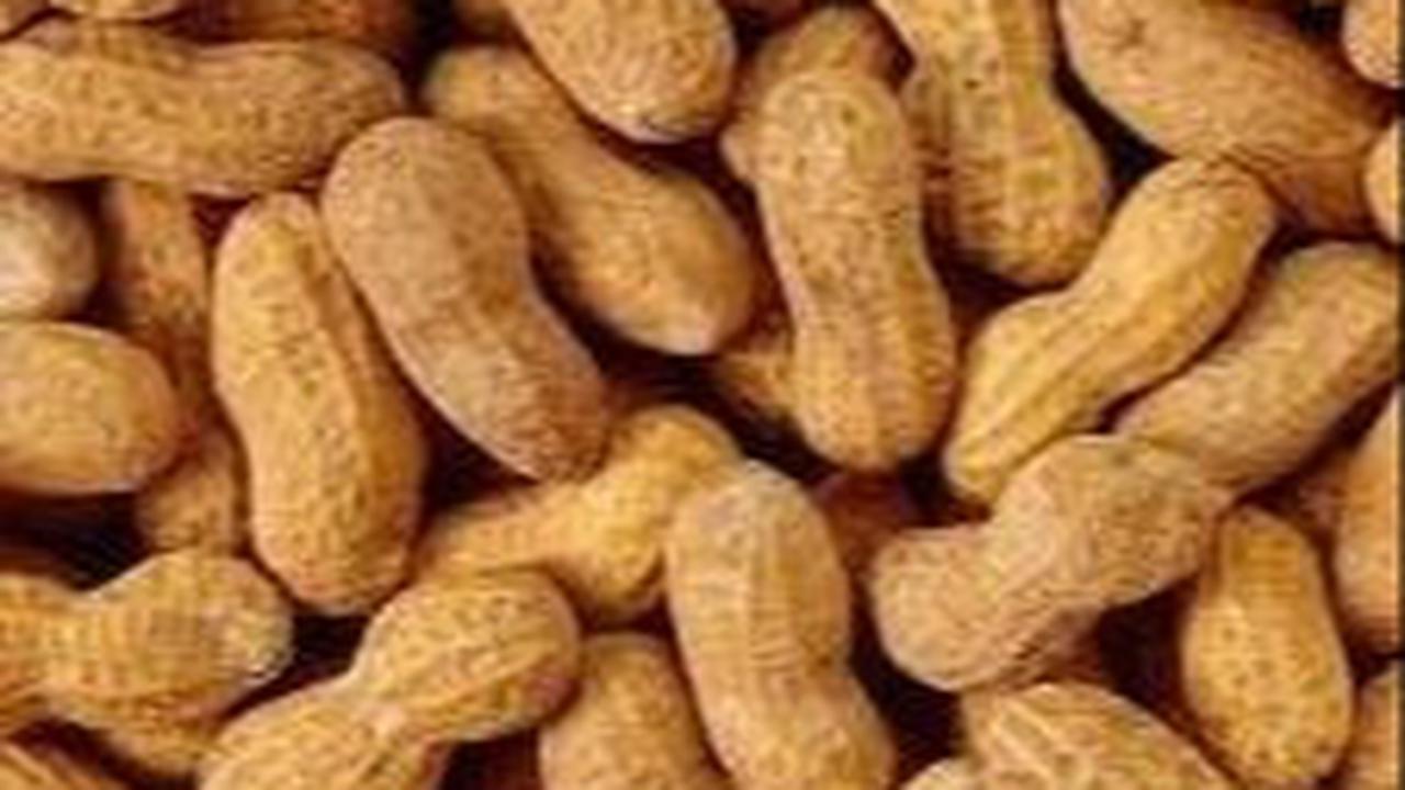 Kacang dan Selai Kacang