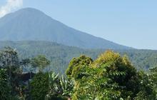 Menguak Alasan Larangan Membawa Daging Sapi ke Gunung Agung