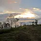 Tenda pendaki terlihat berada di Pos 2 Gunung Sumbing dengan latar belakang pemandangan Gunung Sindoro saat senja di Wonosobo, Jawa Tengah (3/4). Gunung ini memiliki pemandangan yang indah serta jalur terjal dan ekstrem dari basecamp hingga puncak Rajawali. (merdeka.com/Iqbal S. Nugroho)