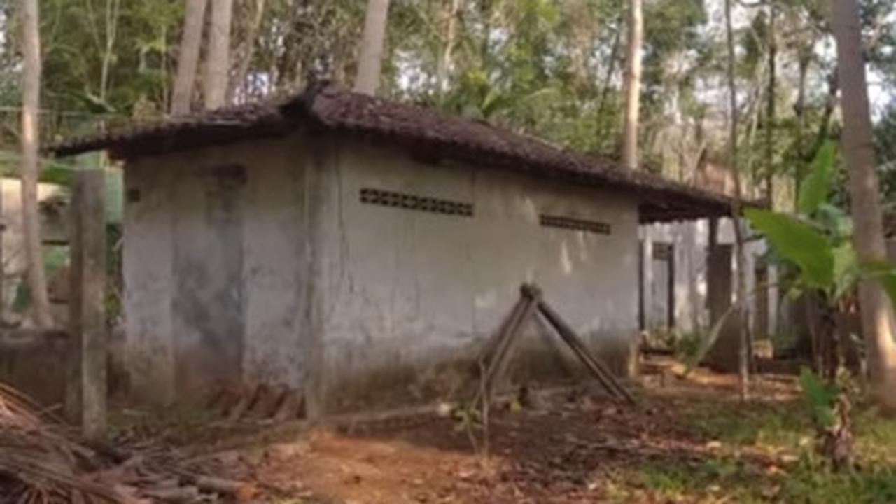 hutan jati pki