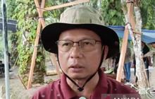 Bangka Tengah Gencarkan Tanam Cabai dan Bawang, Perkuat Pengendalian Inflasi Daerah