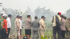 Seskab Teddy Ungkap Langkah Terbaru Tangani Kebakaran Hutan di Kalbar