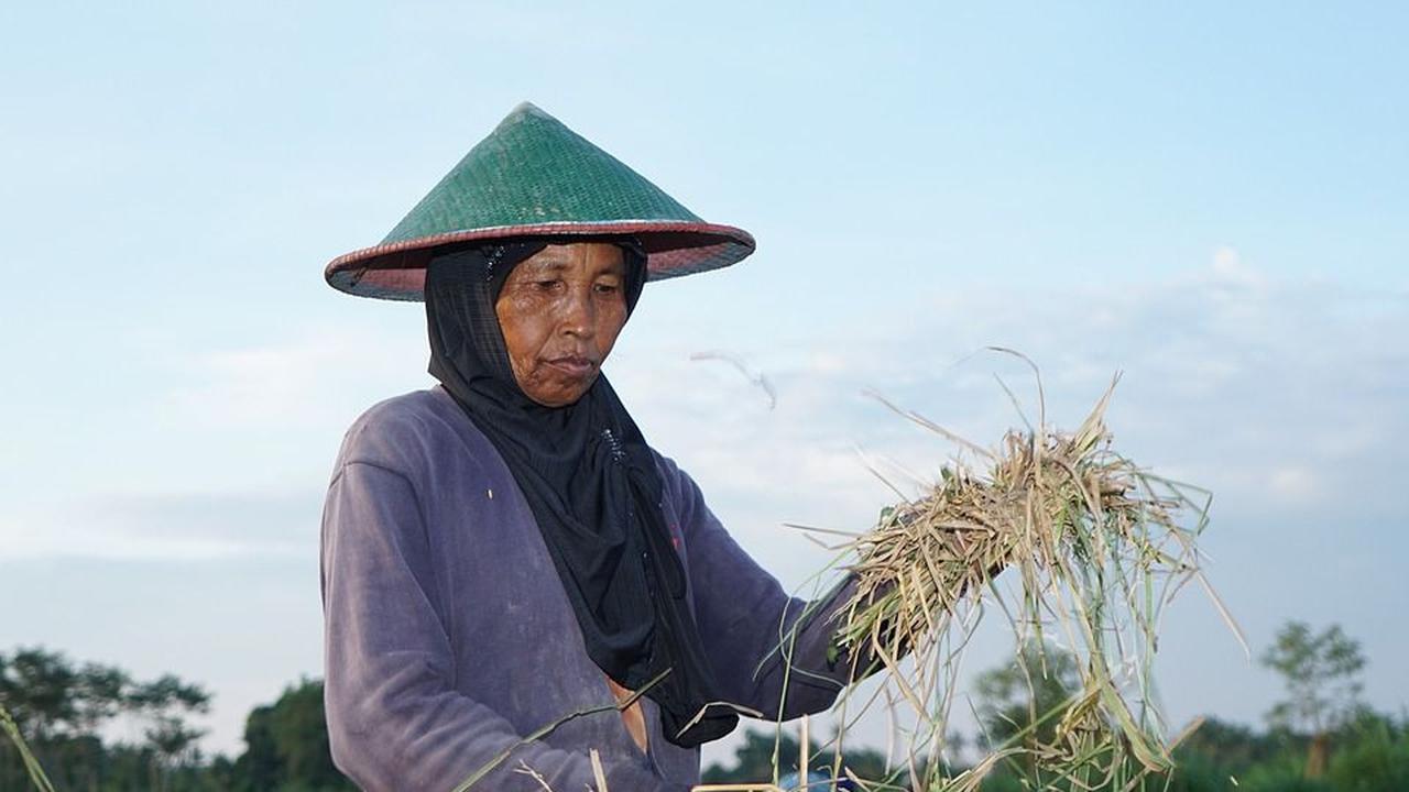 Pengertian dan Tujuan