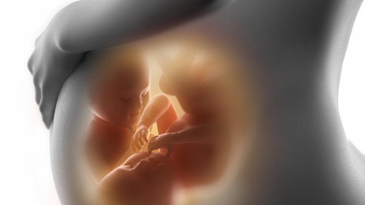 Makanan untuk ibu hamil bayi kembar