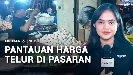 Harga Telur Ayam Anjlok Bikin Peternak Rugi, Ini Pantauan Harga Terkini di Pasar
