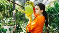 How Is Food Transported in Plants: A Simple Guide to Plant Nutrition