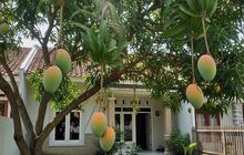 Rekomendasi Buah Pekarangan yang Cocok Diolah Menjadi Selai Homemade, Praktis dan Nikmat