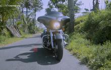 Pensiunan Guru Jadi Petani Cabai, Soeharto Sukses Kini Bisa Beli Moge Harley Davidson