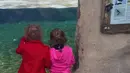 short desc