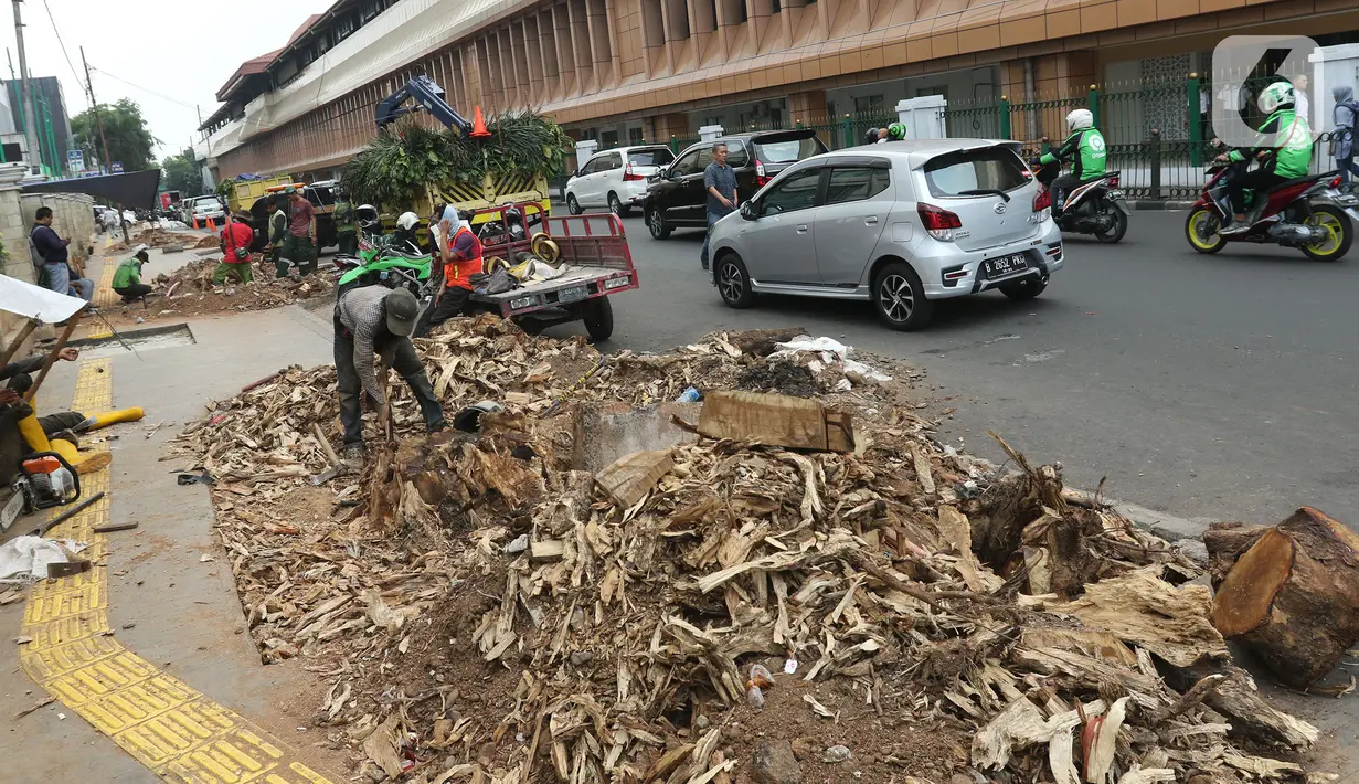 Sejumlah pekerja memotong sisa tebangan pohon di trotoar kawasan Cikini, Jakarta, Selasa (5/11/2019). Dinas Kehutanan DKI Jakarta menebang pohon di seberang Stasiun Cikini dan akan mengganti pohon angsana dengan yang tidak merusak konstruksi pedestrian. (Liputan6.com/Herman Zakharia)