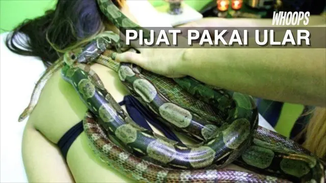 WHOOPS: Intip Uniknya Pijat Ular Bagi Wanita Korban Kekerasan Rumah Tangga