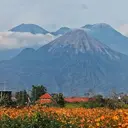 Kebakaran Hutan Meluas, Seluruh Jalur Pendakian Arjuno Welirang Ditutup