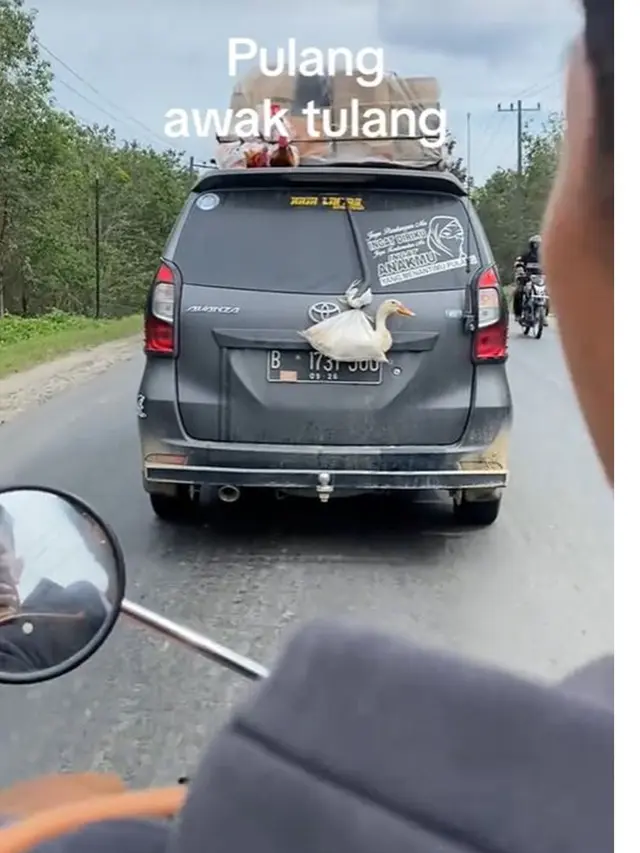 6 Potret Hewan Peliharaan Ikut Mudik Pakai Kendaraan Pribadi, Anteng Banget