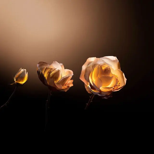 Tunas Rose de Granville